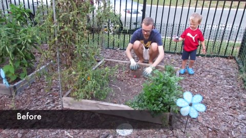 One minute garden update | Fall 2015