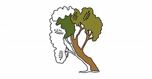 Tree leaves coloring pages - Download, Print, and Color Online!