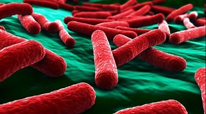 Cum te poti infecta cu bacteria E.Coli. Lista produselor de care sa te feresti