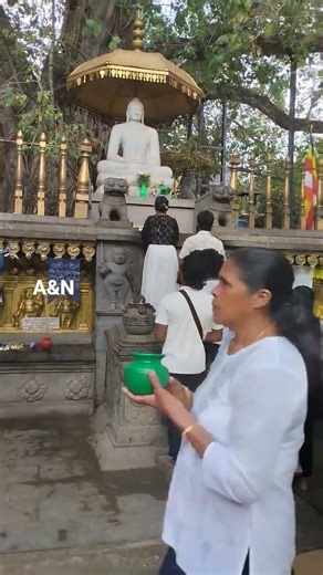 තෙරැවන් සරණයී 🙏🌼🙏 temple sri lanka 🇱🇰 #everyone #travel #highlights #trending #temple #foryou
