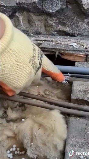 How to clean a stubborn 50 year old pipe like a pro