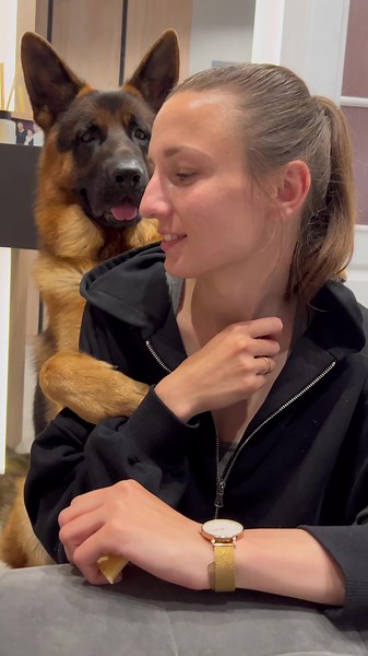 Heartwarming Hugs with a German Shepherd