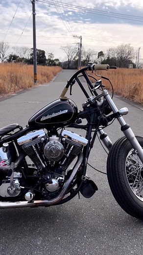 Harley Davidson 1340 evo custom