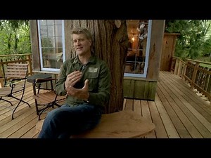 Behind the Build: The Coziest Treehouse