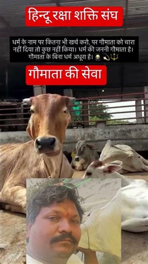 गौ सेवा #latestnews #love #lifeisbutadream