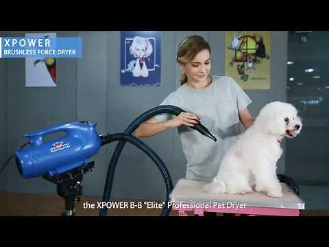 XPOWER B-8 Brushless Force Dryer