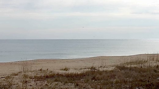 Sandbridge Beach Cam & Surf Report - The Surfers View