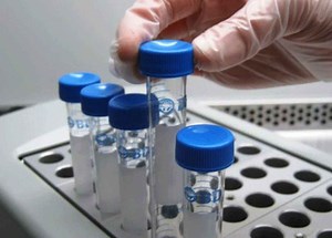Woman feels cheated after learning that donor sperm is not being imported to Malta - The Malta Independent