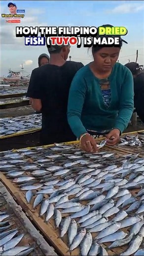 From Sea to Table: How Filipino Dried Fish "Tuyo" is Made 🇵🇭