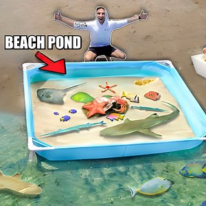 This Was Filled With EXOTIC FISH & SEA CREATURES! 😱 | The Fish Guys