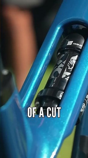 The New Polygon Siskiu TLE-R Spotted At Sea Otter