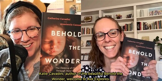 My Cat is climbing the Christmas Tree