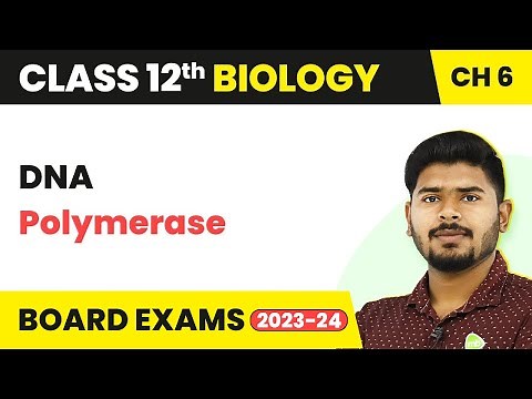 Class 12 Biology Chapter 6 | DNA Polymerase - Molecular Basis of Inheritance (2022-23)