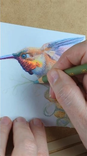 I Created a Rufous Hummingbird Using Only Colored Pencils