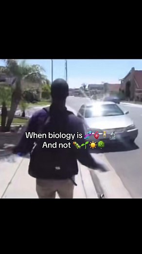 Understanding Human Anatomy Through Biology