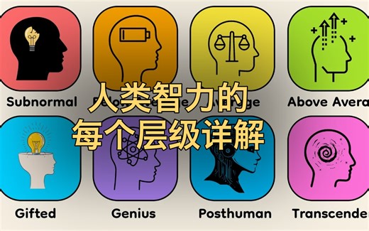 人类智力的每个层级详解 (中文配音)