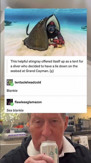 This Stingray Offered Itself Up As A Tent For A Diver Who Decided To Lie Down on The Seabed.