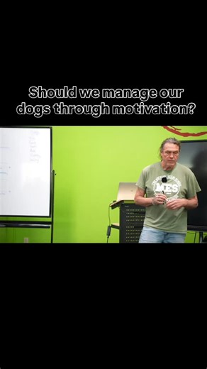 Another excerpt from our membership service. We frequently, and successfully, use a dog’s motivation for rewards to manage their focus and prevent behavioral problems, but excessive reliance on that technique can rob the dog of potential growth and resilience. Learn when, and when not, to put on your dog’s motivational blinders. #michaelellisschool #dogtraining #motivation #management #obediencedog | Michael Ellis School for Dog Trainers