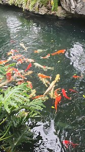 My Digital Lock Pte Ltd on Reels