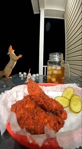 🔥 Spicy Squirrel Meltdown