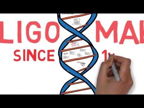 OligoMaker - The DNA synthesizer
