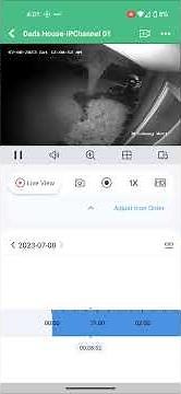 Playback on Gaurding Vision app.