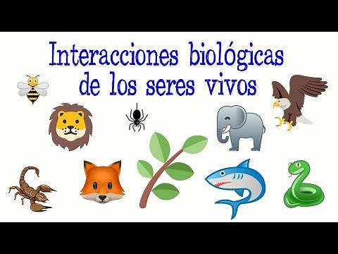 🐝Biological Interactions of Living Beings🌿 [Easy and Fast] | BIOLOGY |