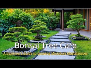 Bonsai Pots and Containers: How to Enhance Your Tree’s Aesthetic Appeal