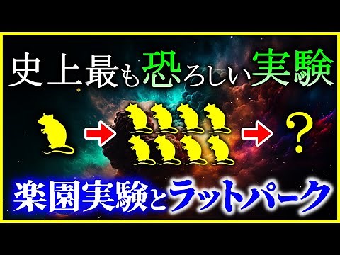 【ゆっくり解説】科学史上最も恐ろしい実験⁉「楽園実験」と「ラットパーク」とは何か？を解説/「Universe 25」は人類の未来を示唆…？