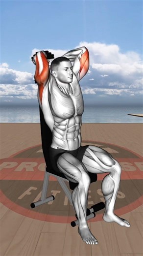 Complete Triceps Training Routine | Increase Arm Size and Upper Arm Strength