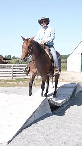 22K views · 749 reactions | Three Thoughts to navigate the obstacles along the trail. #obstaclecourse #trailrider #obstacles | Luke Reinbold Horsemanship LLC | Facebook