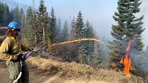 429K views · 2.5K reactions | As of this evening (8/20/24), the...