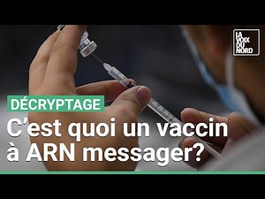 Vaccin : comment fonctionne l'ARN messager ? Quels effets à long terme ?