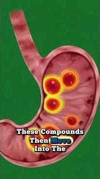 “The Hidden Power of Coffee: A Cinematic Journey Beyond the Cup”