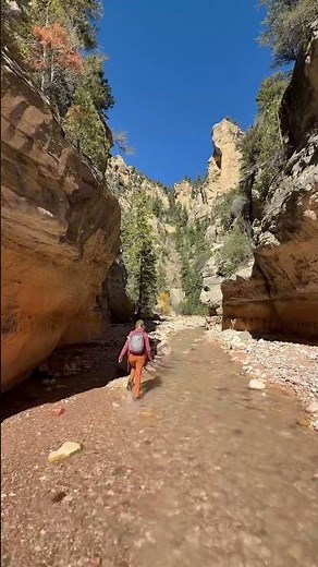 I hiked one of Utah’s most underrated canyons 👀 #ashdowngorge
