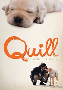 Quill: The Life of a Guide Dog - stream online