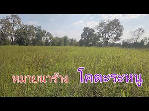 How did we survive this? It's a rat infested area, five houses lined up one after another.