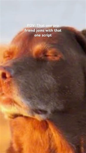 That one friend who has the ban hammer script 😭