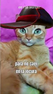 Debo mantenerme sereno para no caer en la locura 😹 Gato con botas en la vida real🤣 #shorts GATOS