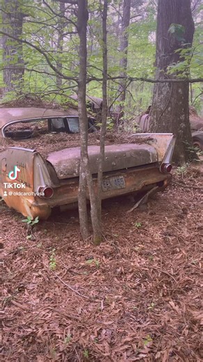 311K views · 10K reactions | You’ve seen The Best Now The Rest Museum City  | Old Car City USA | Facebook