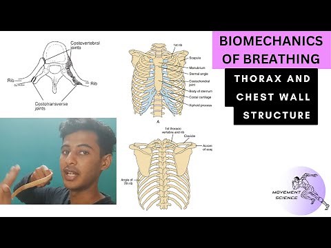 THORAX AND CHEST WALL STRUCTURE- VENTILATION (BIOMECHANICS OF THORAX )Physiotherapy Tutorial