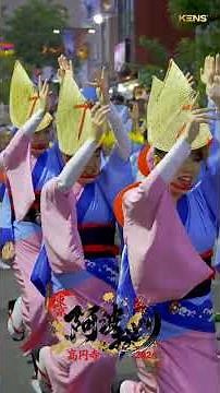 志留波阿連 👘圧倒的熱気…！ 高円寺 阿波おどり 2日目の ひがし演舞場 が凄すぎた🔥【 高円寺阿波おどり 2026 】2日目・ひがし演舞場 至高の踊りと熱気を完全収録 4K