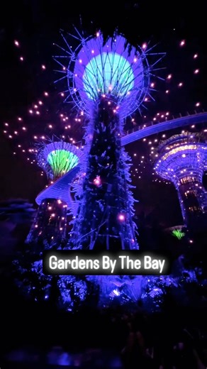 Here are the places you must visit on your Singapore trip 📍🇸🇬