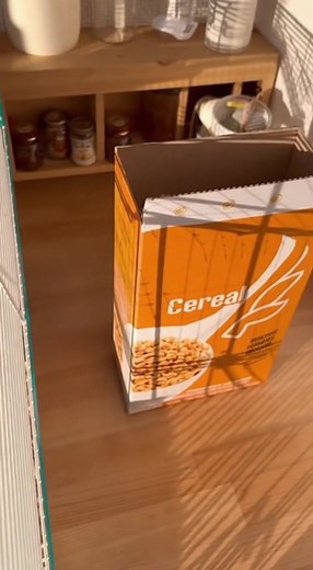 3.4K views · 15 reactions | A clever little hamster chews through its cage, climbs to freedom, and makes a daring dive into a cereal box on the kitchen counter. This tiny escape artist proves that no cage can hold a determined pet! | Random Video | Facebook