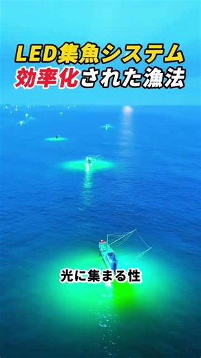 LED集魚システム! 効率化された漁法! #漁業 #イカ漁 #船 #LED集魚 #海の仕事