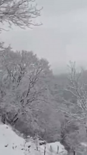 121K views · 2.9K reactions | La neige fait son apparition dans de...