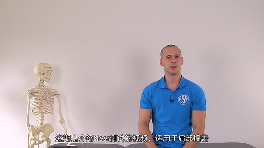 Neer测试（Neer Test）