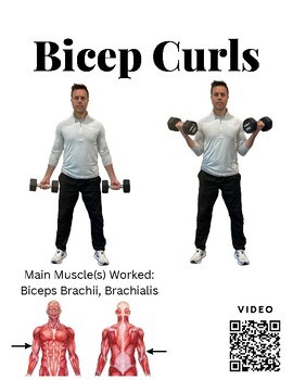 Exercise Muscle Posters with Video QR Code- Fitness Center