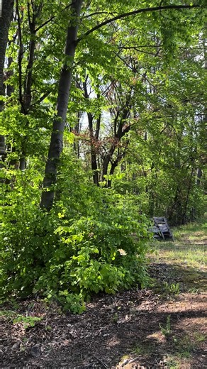 #fyp #goviral #cectek #offroad #fyy #atv #fyppp TikTok