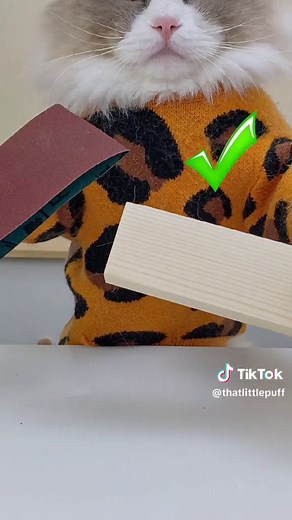 ThatLittlePuff (@thatlittlepuff)’s video of thatlittlepuff